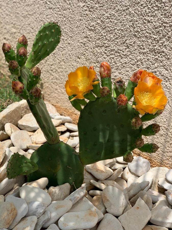 Natura 6 Medulin Dış mekan fotoğraf